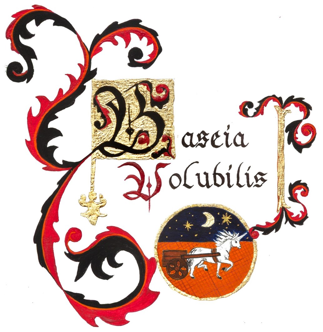 Animations médiévales et Acting